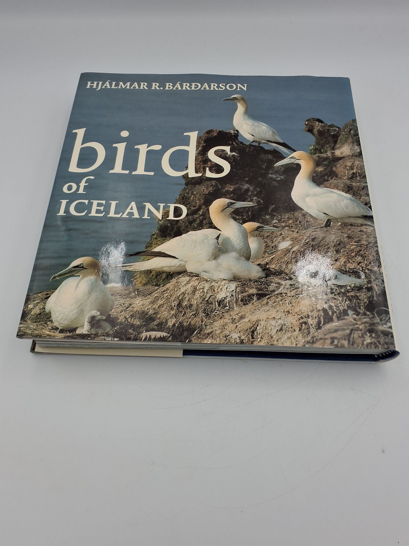 Bog: Birds of Iceland